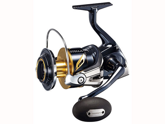Shimano Stella SW -C MODEL Reel | Bilimoria Fishing