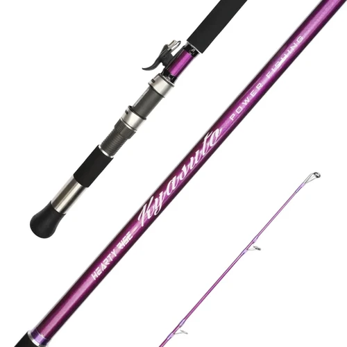40 foot fishing pole by kyatu KastKing Kapstan Saltwater Spinning Rod making it easy to spend all day chasing cruising fish. GTOFYU 26Ft 29Ft 32Ft 35Ft