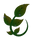 LaNubian Experience