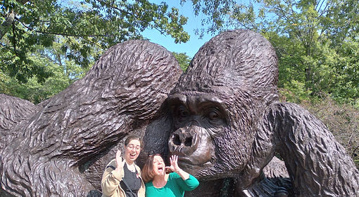 Bruce museum_scary kong.jpg