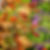 444782785_122211975242003261_4060412787285157544_n.jpg