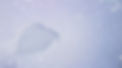 snowbgd1.jpg