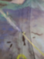 "No Catch" detail