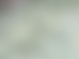 2月営業日のおしらせ