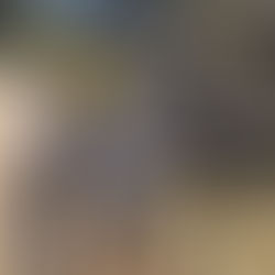 秋の恒例アスレチック!