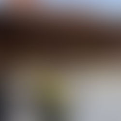 駒場東大前→明治神宮まで「散歩」