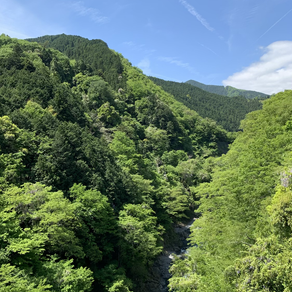 大塚山〜御嶽山ハイキング