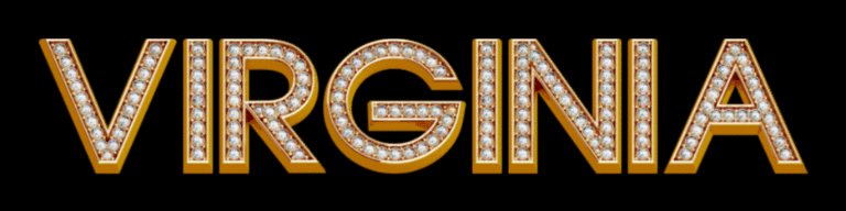 VIRGINIA-11-5-2025.gif
