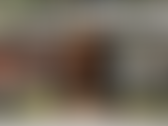 Virginia’s Hidden Crown: The Untold Origins of Emancipation