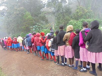 Tigoni Forest trip June 2019.JPG