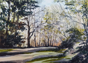 woods, trees, landscape, painting, watercolour