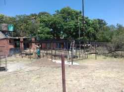IMG-20190326-WA0009.jpeg