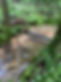 3F5A5271-EDE1-4DB0-B16C-80CA9ECEAC98.jpeg