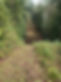 E6D9A02E-6DD3-47E3-9608-F29B477CA644.jpeg