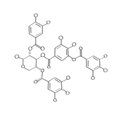 Premium_Organic_Science_Icon_03.png