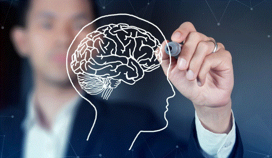 Neurociência do Comportamento