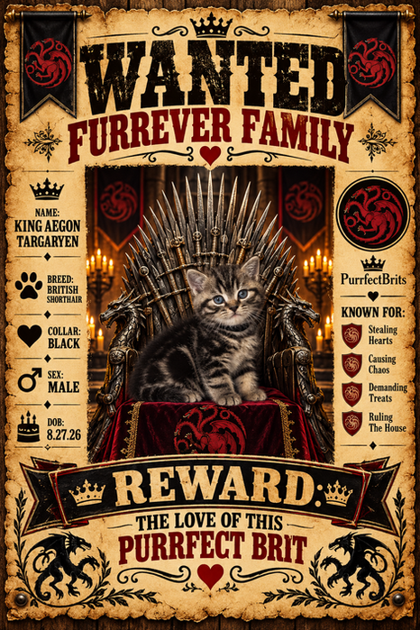 Wanted_ King Aegon, Purrfect Brit.png