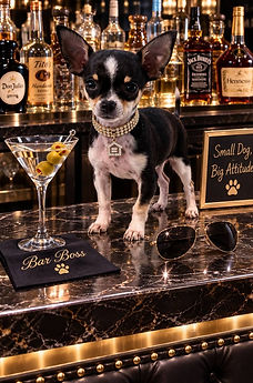 bar boss.jpg