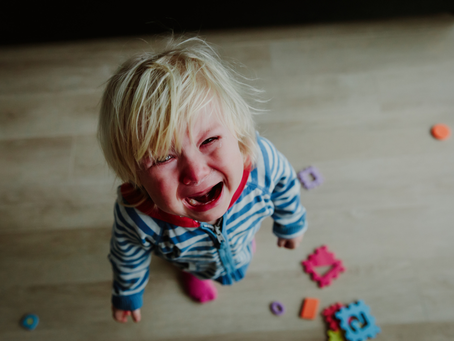 Birras aos 2 Anos: Entenda Por Que Acontecem e 10 Dicas Eficazes Para Lidar Com Elas