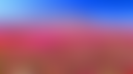 O milagre do deserto florido: o Atacama se transforma em um tapete colorido em 2025