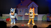 Bluey Ao Vivo" Chega ao Brasil: A Série Infantil Vencedora do Emmy® Ganha Versão Teatral Imperdível!