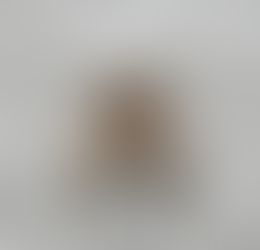 Moscas de Banheiro: Sinal de Problemas e Como Eliminá-las