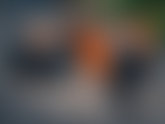 Raposa de Fogo: A Joia Rara da Natureza que Encanta o Mundo