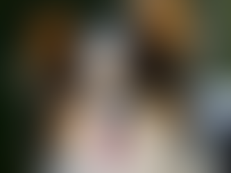 Pequenos e Adoráveis: 10 Raças de Cães que Sempre Têm Cara de Bebê