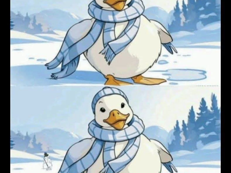 Encontre 5 diferenças nesse desafio visual