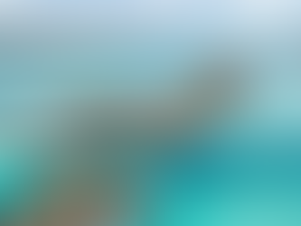 Maragogi em Crise: O Maior Recife de Corais do Brasil Está Morrendo