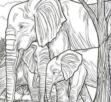 Desafio Visual: Encontre escova de dentes, sino, livro e coração
