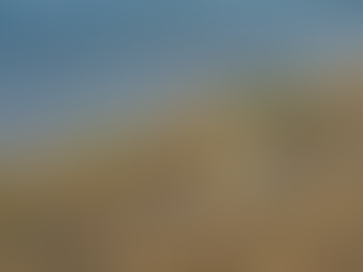 Praia Brasileira Se Torna Destino Final para Lixo da Ásia