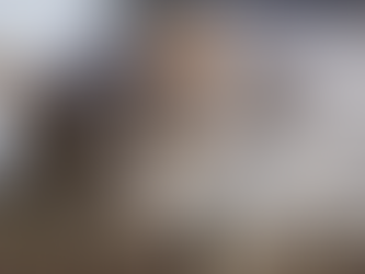 Brincadeiras para Gatos Idosos: Como Mantê-los Ativos e Felizes