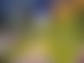 999 Degraus de Emoção: A Escadaria que Só os Fortes Encaram