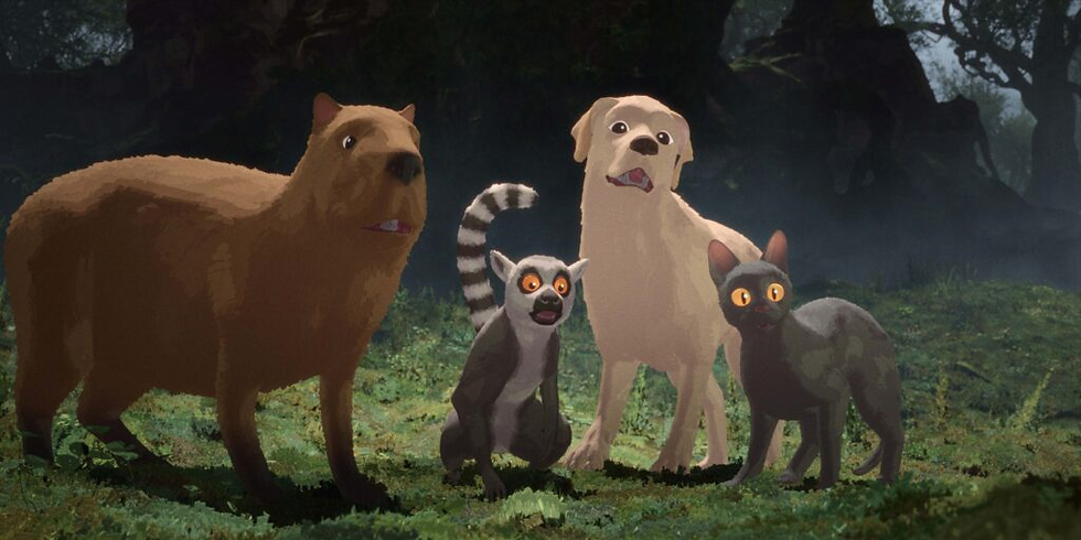 uma capivara, um lemore, um golden retriever e o gato