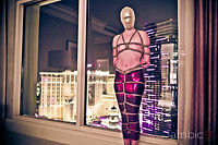 hotel_vegas.jpg