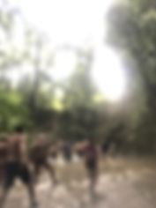 file-1.jpeg
