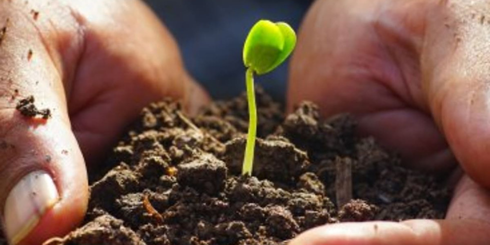 ENA/ El Concilio Seedling Planting (ages 6-14)