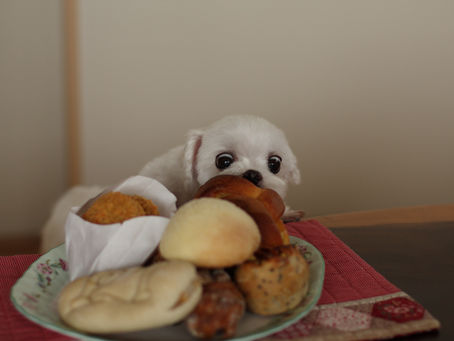 美味しい食事は必要ですか？