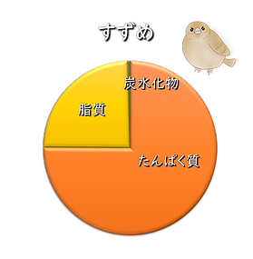 スズメの体組成