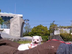 解毒(デトックス)のために