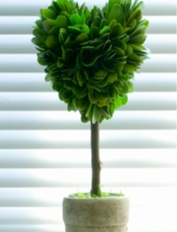 Screenshot 2025-10-26 alle 13.17.00.png