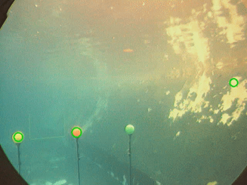 ezgif.com-gif-maker (7).gif