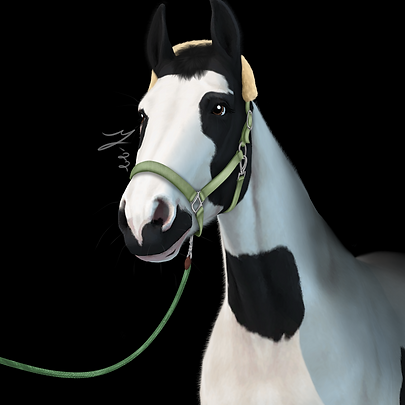 horse-4100412_1280.png