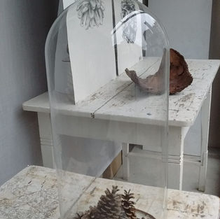 EXPO WAARNEMINGSTEKENINGEN ZESDEJAARS