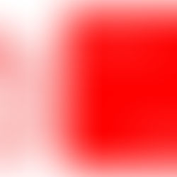 EXPO: BOOK IN THE PICTURE, PICTURE IN THE BOOK