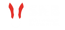 Logo du Saint-Nazaire Badminton (SNB)