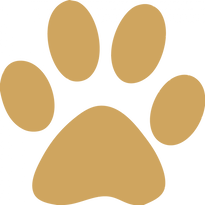 paww.png
