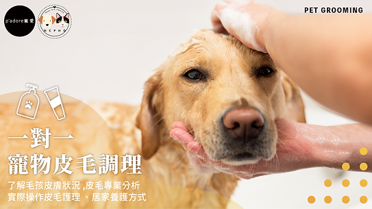 寵物美容一對一皮毛調理.png