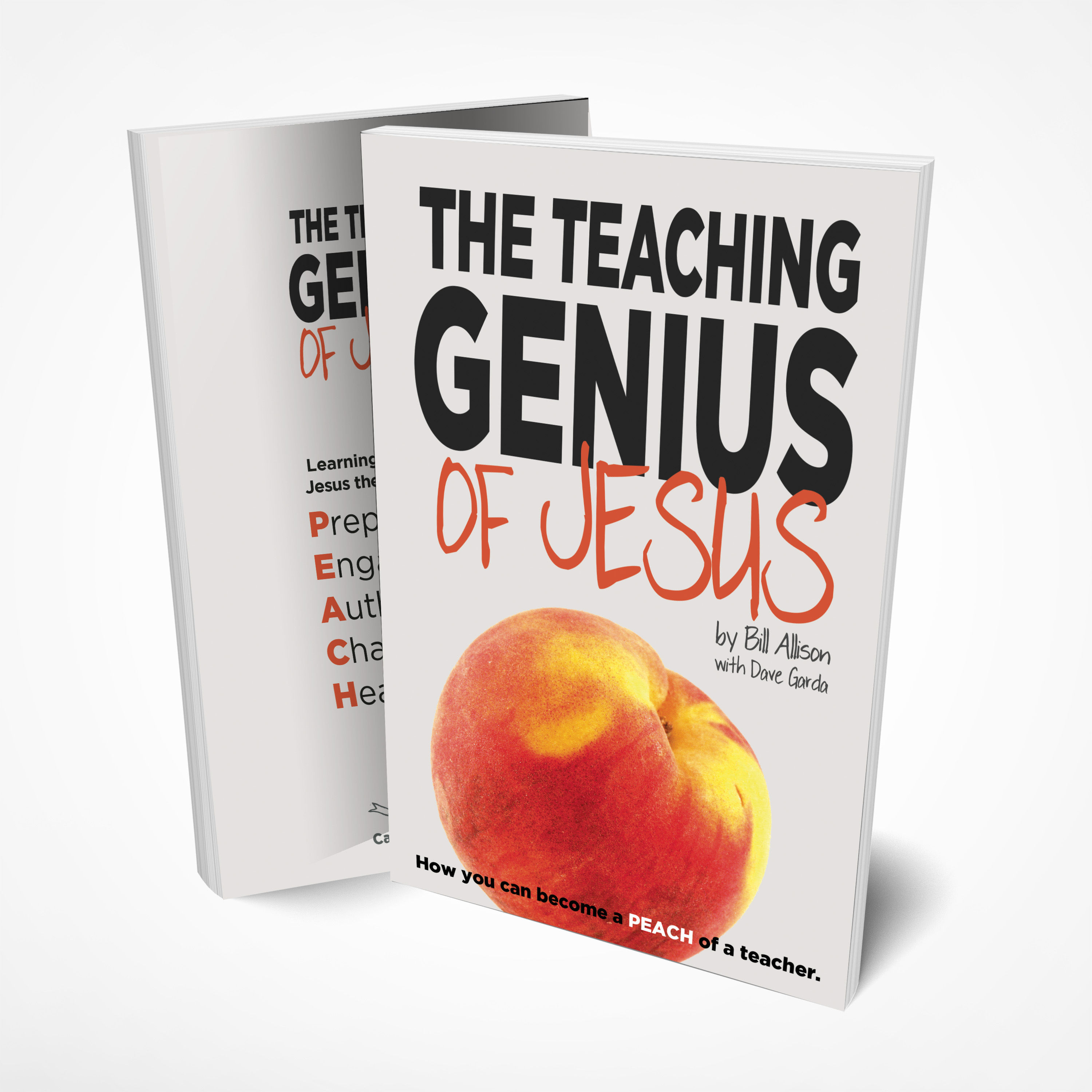 Teaching Genius of Jesus Digital (Kindle, Nook, Apple Book Editions)